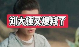 刘大锤爆料吵架视频播放